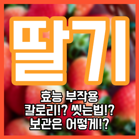 딸기 효능 부작용 - 칼로리!? 씻는법!? 보관!?