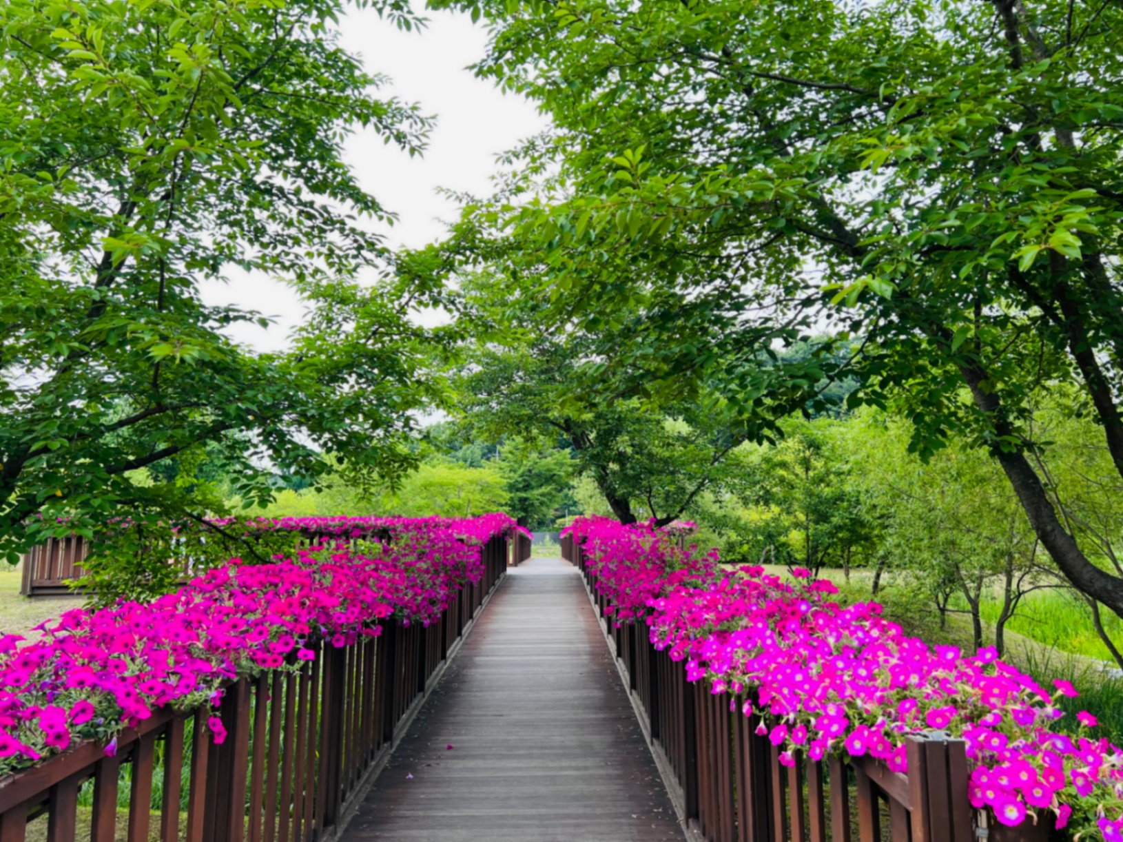 꽃길이-조성-되어있는-공원-산책로