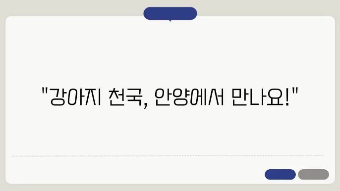 안양강아지보호소 이곳만한곳이 없어엎