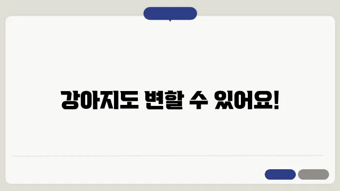 강아지 행동수정을 위한 효과적인 팁