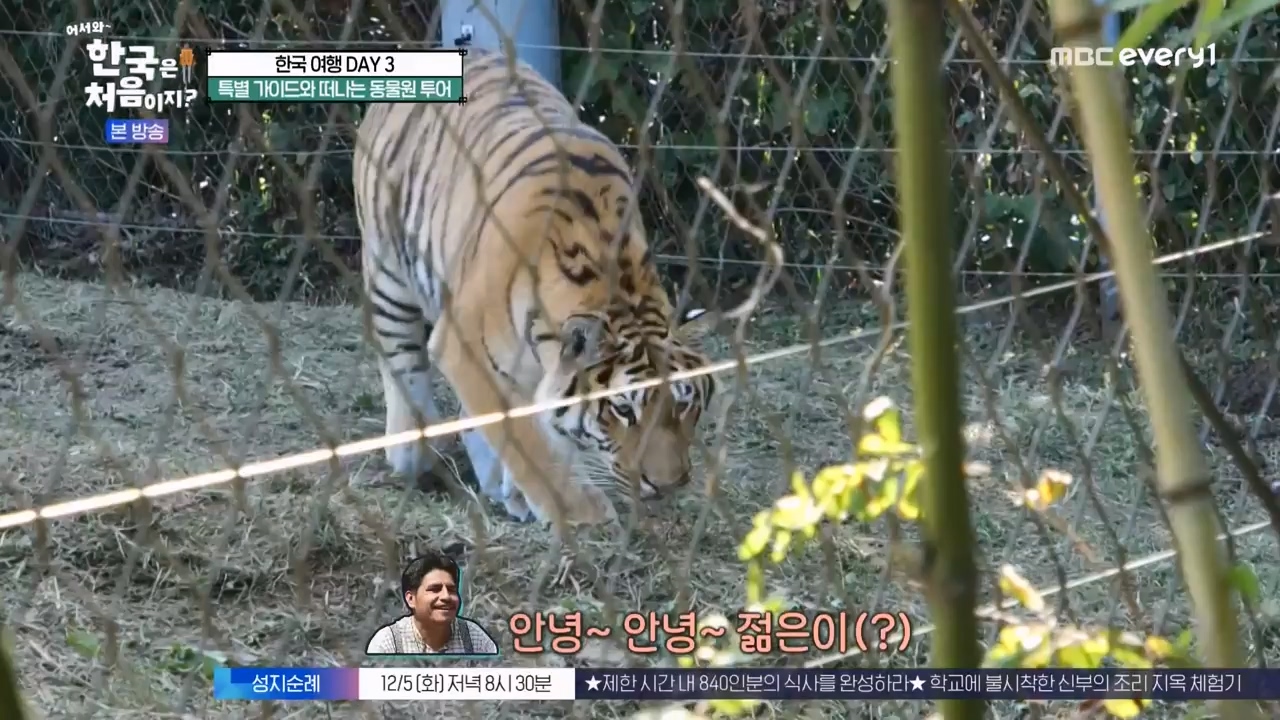 어서와 한국은 처음이지 시즌2.E291.231131p-NEXT.mp4_20231201_202428.732.jpg
