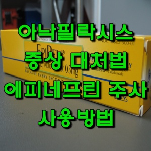  아낙필락시스 증상 대처법(에피네프린 주사 사용법 등)