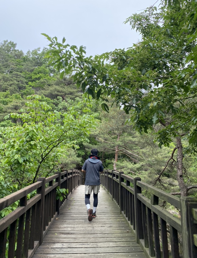 여름산으로 추천하는 괴산 칠보산(778m) 숲속을 거니는 듯 시원해 60