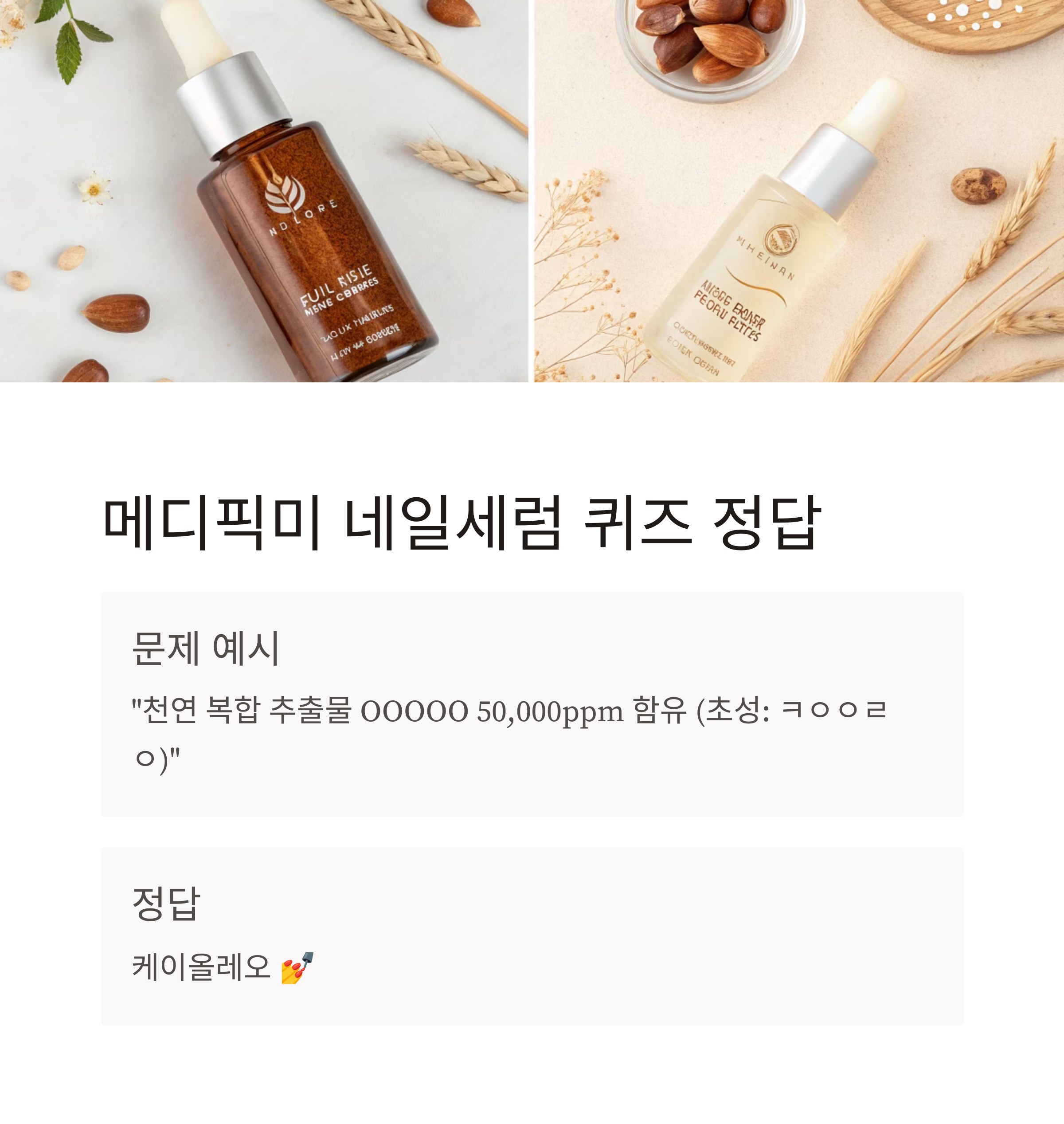 캐시워크 돈버는 퀴즈 정답