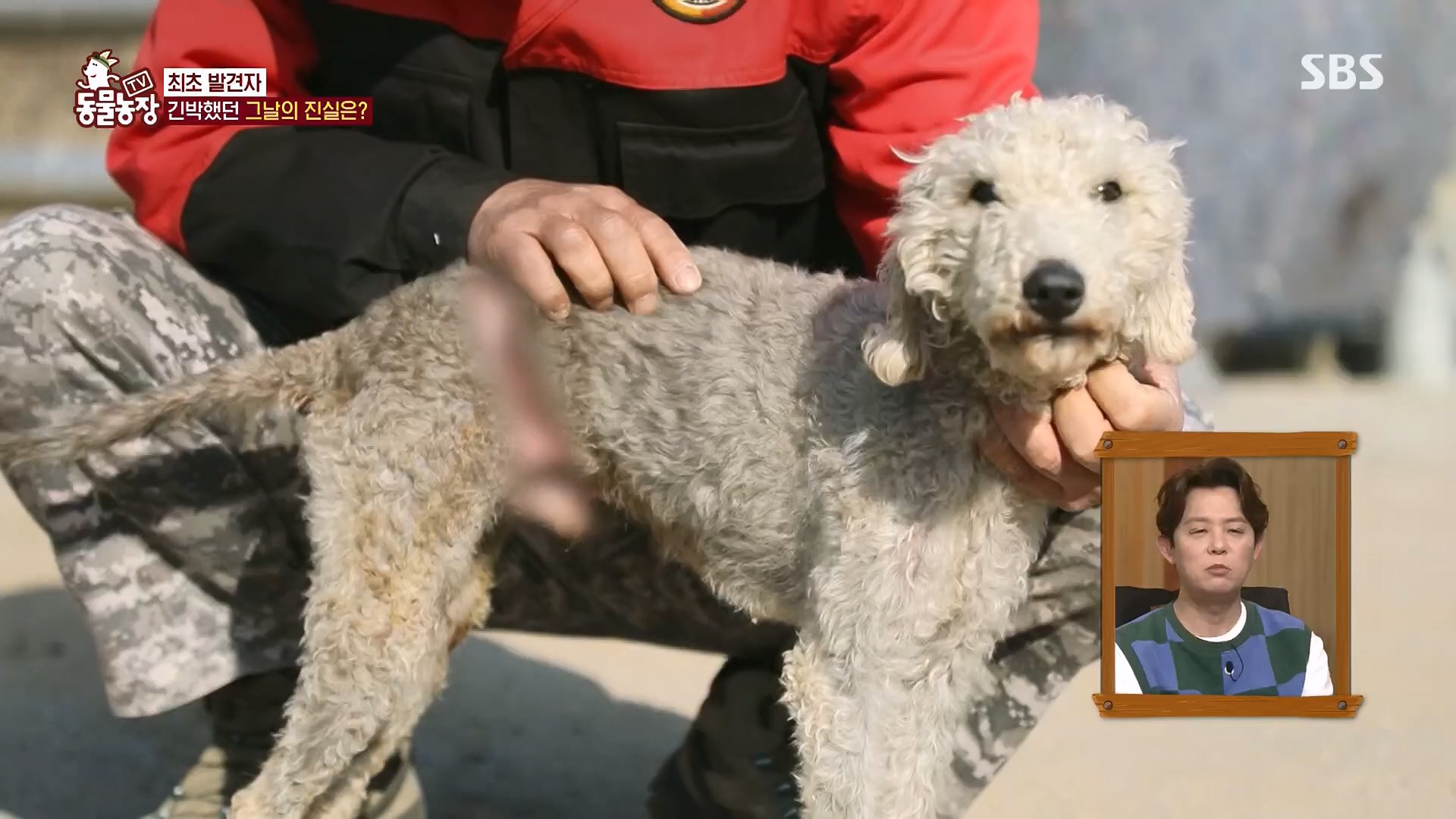 TV 동물농장.E1118.230430p.H264-F1RST.mp4_20230430_172401.017.jpg