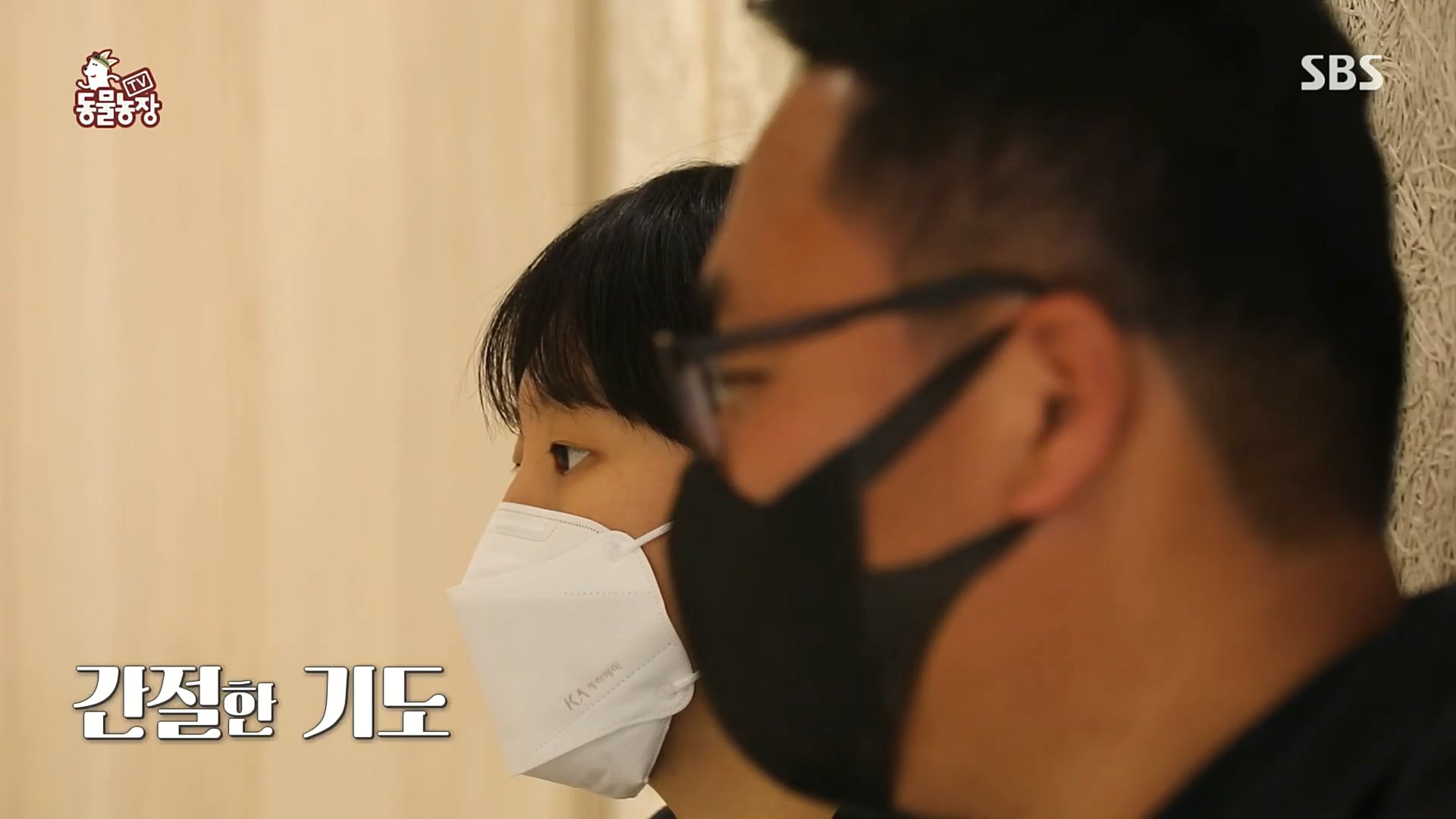 TV 동물농장.E1100.221218p.H264-F1RST.mp4_20221218_183450.878.jpg