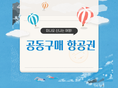  공동구매 항공권 항공사별 최신정보