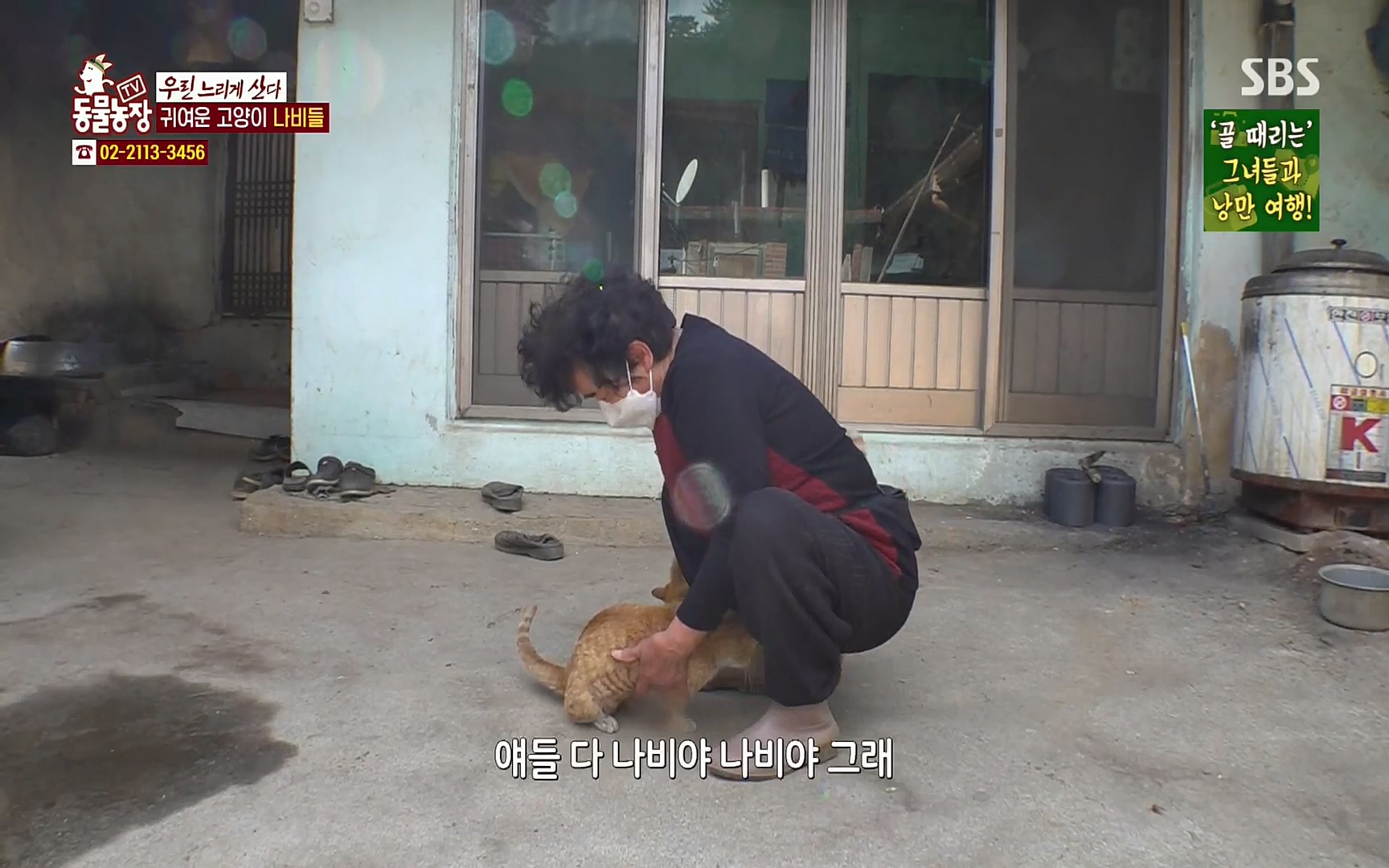 TV 동물농장.E1067.220501p.H264-F1RST.mp4_20220501_183717.760.jpg