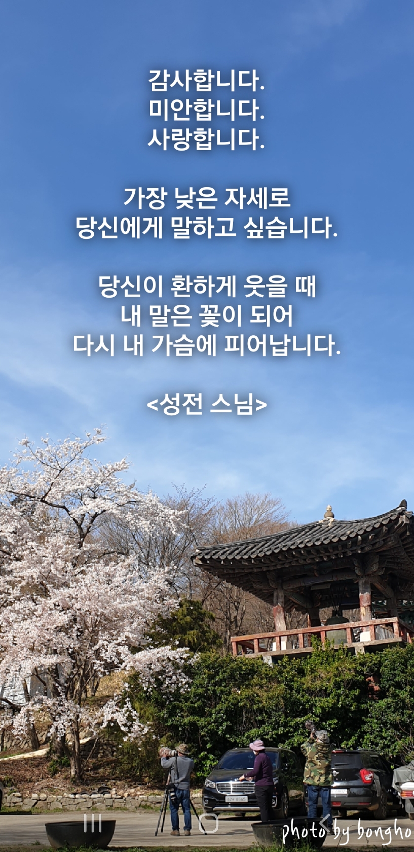  좋은글"다시 내 가슴에 피어 납니다"
