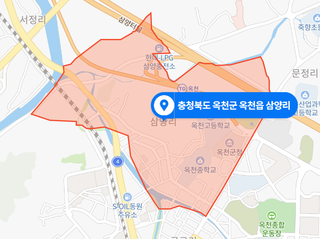  충북 옥천군 옥천읍 삼양리 실종 사망사건 (2020년 12월 10일)