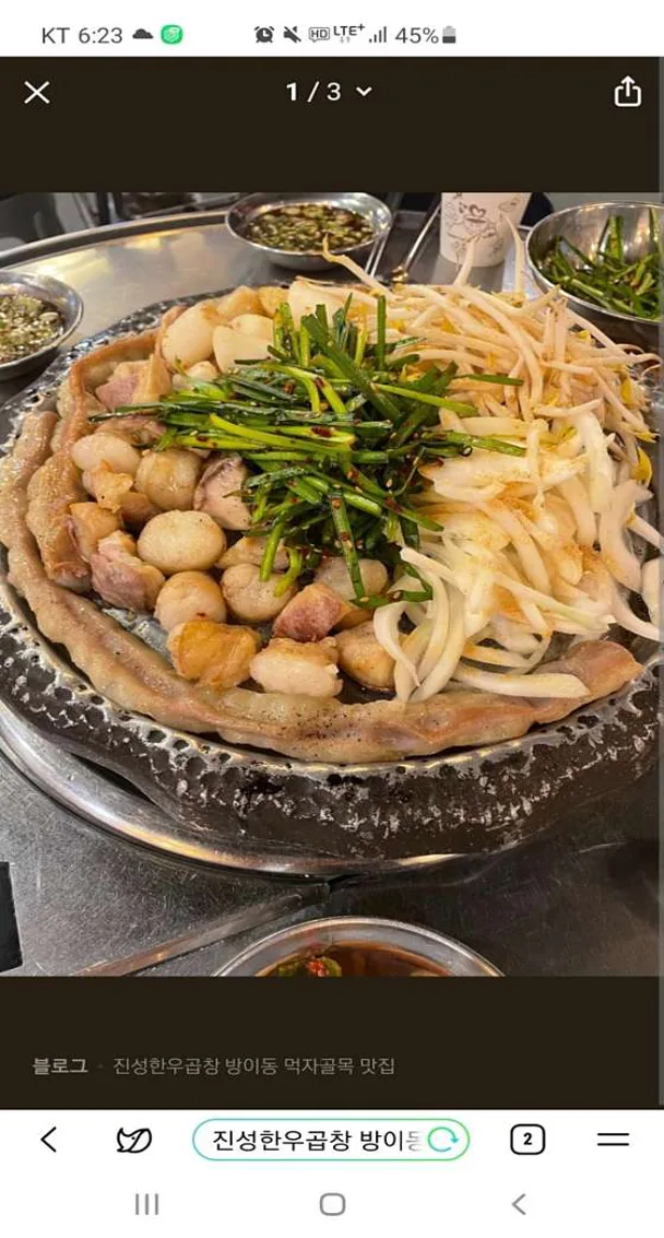 진성한우곱창