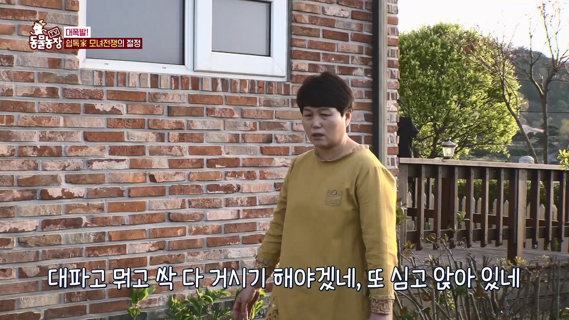 TV 동물농장.E1120.230514p.H264-F1RST.mp4_20230515_203529.483.jpg