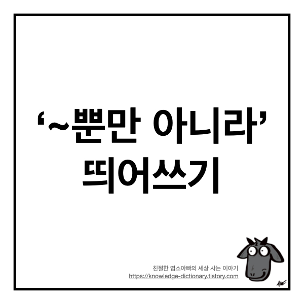  [쉽다! 맞춤법] "~뿐만 아니라 " 띄어쓰기