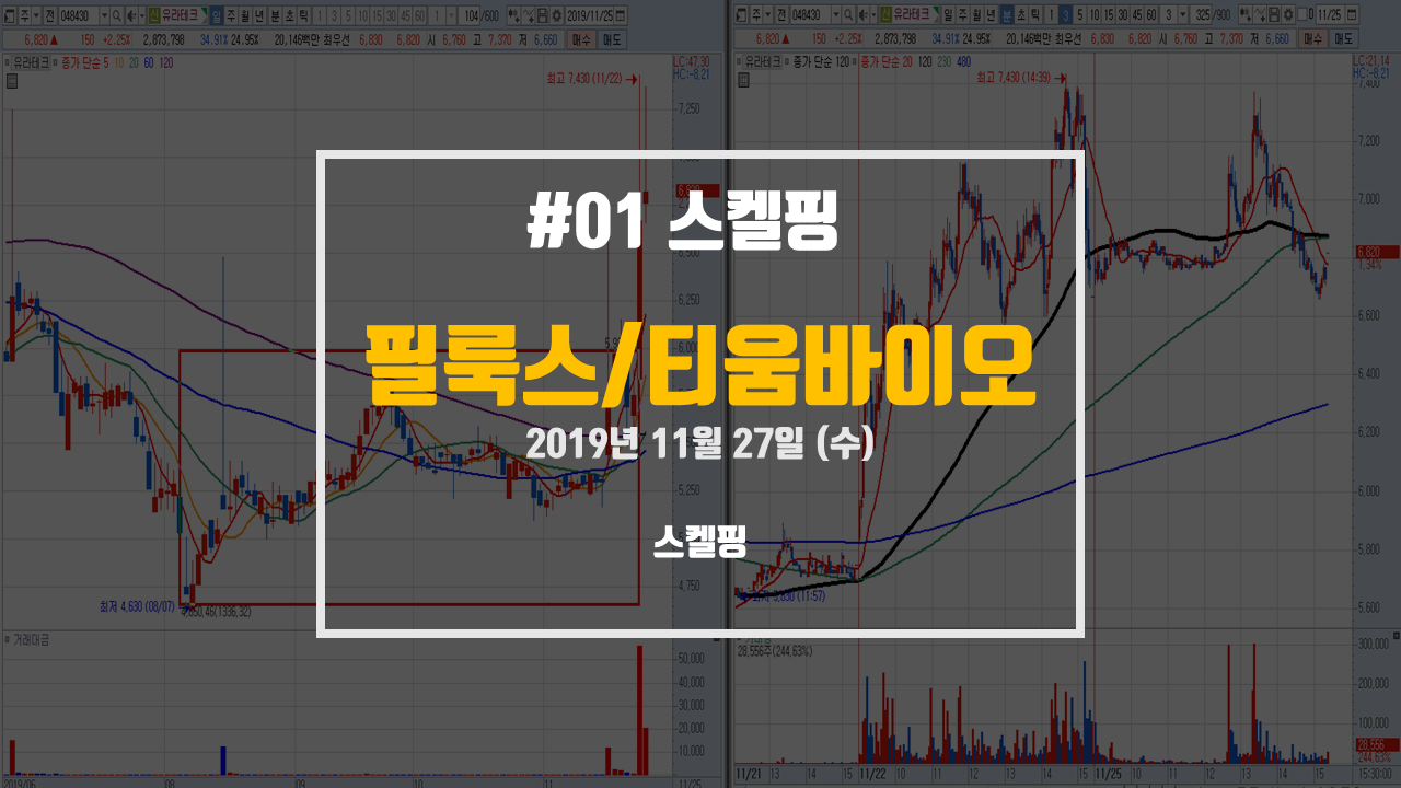  #01 필룩스 / 티움바이오 시장 주도주 스켈핑 매매일지