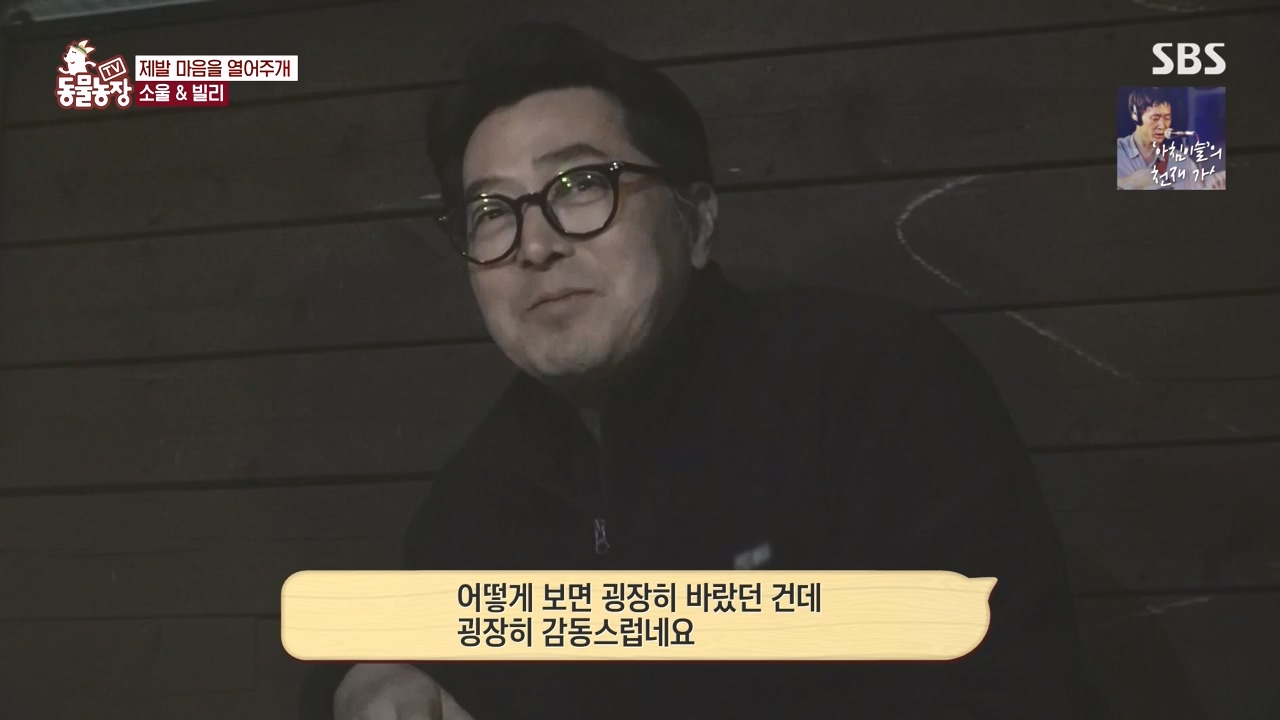 TV 동물농장.E1167.240415p-NEXT.mp4_20240414_160940.075.jpg