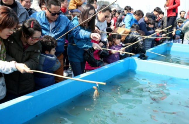  전국 봄 축제, 4년만 재개...올해 일정 공개