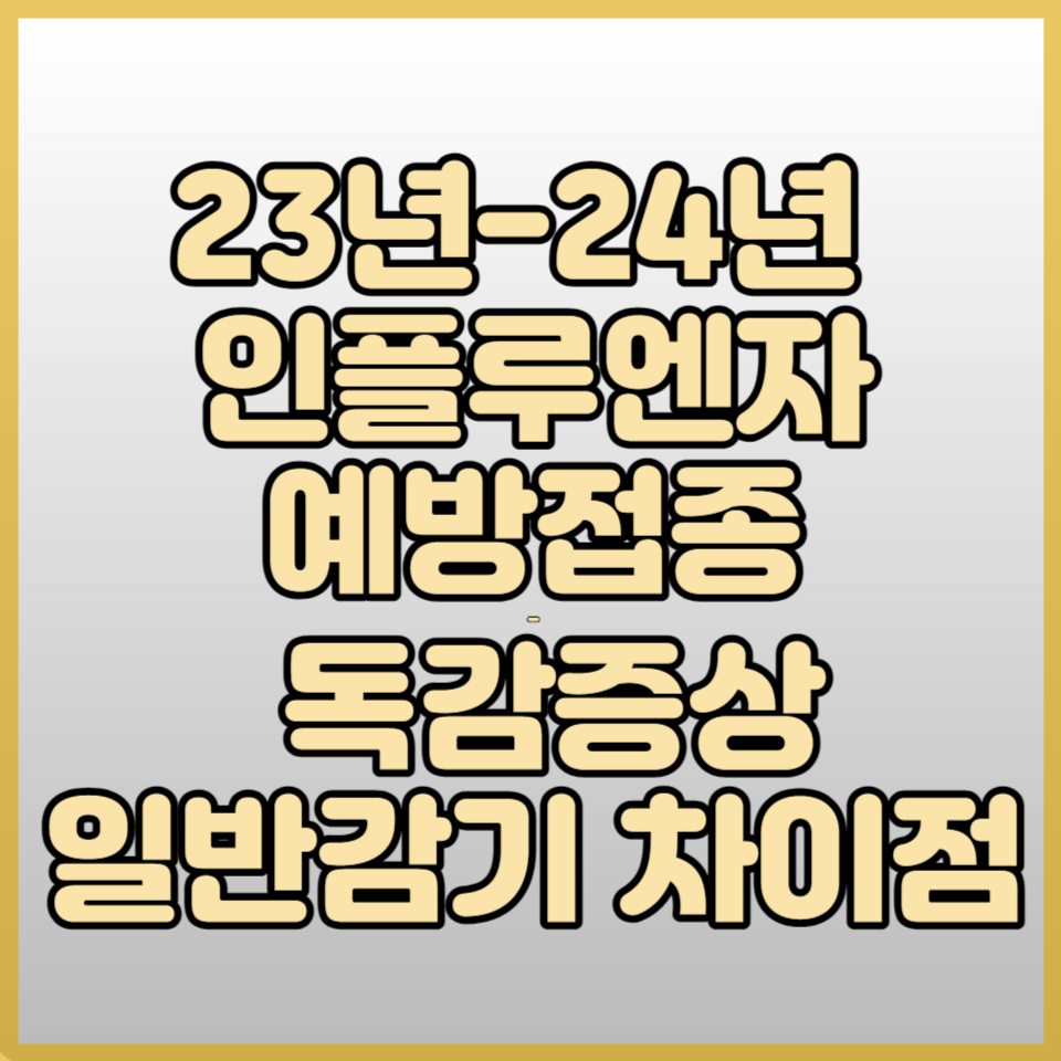 인플루엔자 예방접종 지원사업