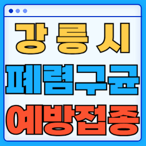 강원도 강릉시 폐렴구균 백신 무료 예방접종 비용지원 가격 신청방법 대상자 간격 13가 15가 20가 23가