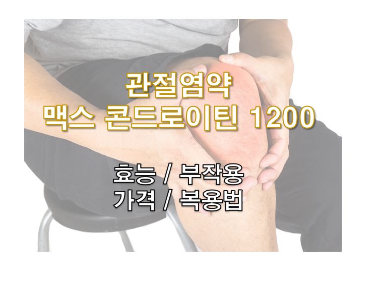 맥스 콘드로이틴 1200 효능 부작용 가격 복용법 정보 글 사진