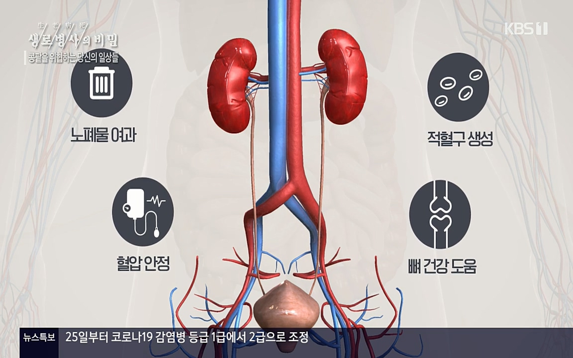 생로병사의 비밀.E819.220421p-NEXT.mp4_20220421_193525.109.jpg