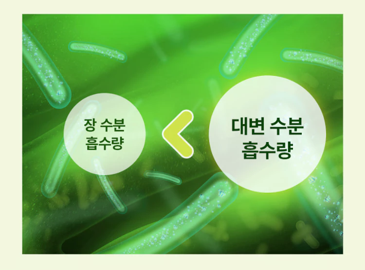 GRN 슬림밸런스