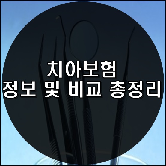  치아보험 정보 및 비교 총정리