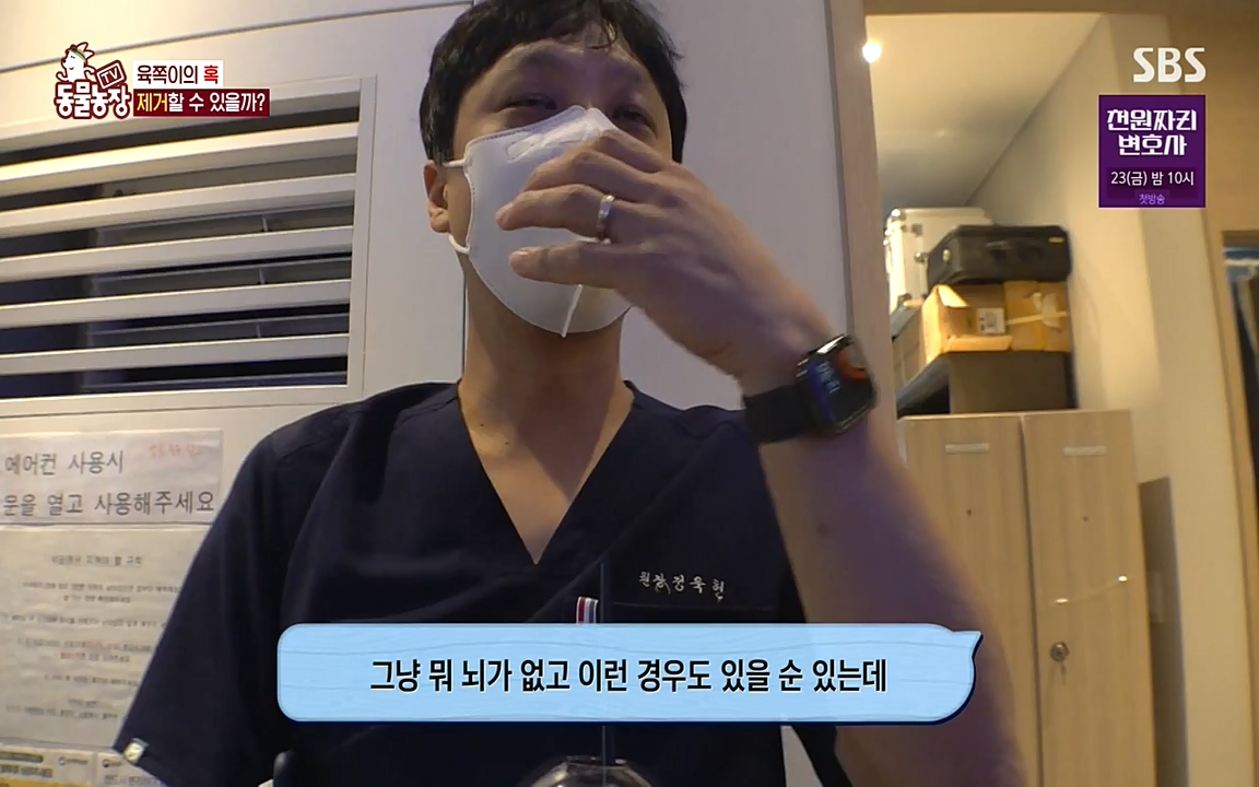 TV 동물농장.E1087.220919p-NEXT.mp4_20220918_180236.647.jpg