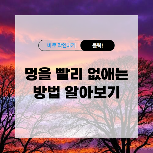 멍을 빨리 없애는 방법 알아보기