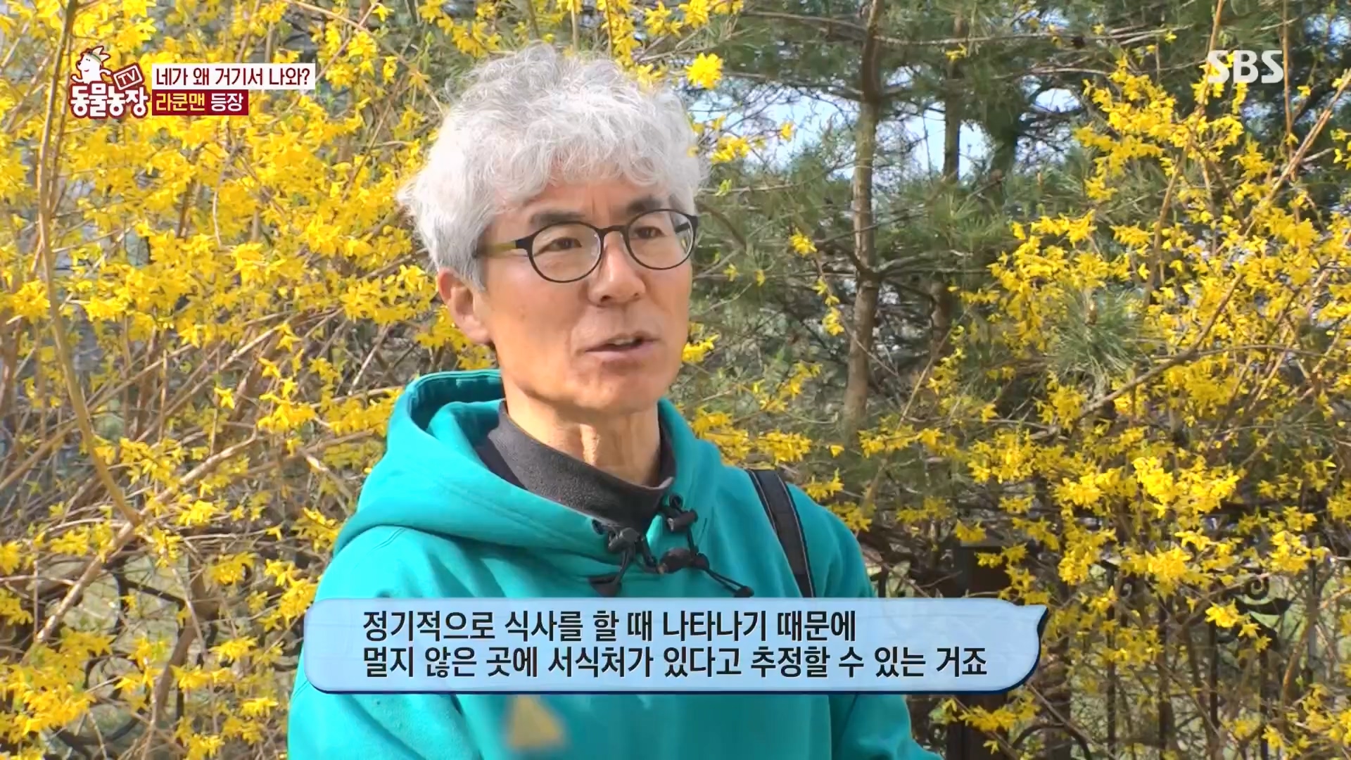 TV 동물농장.E1170.240505p.H264-F1RST.mp4_20240505_153758.370.jpg