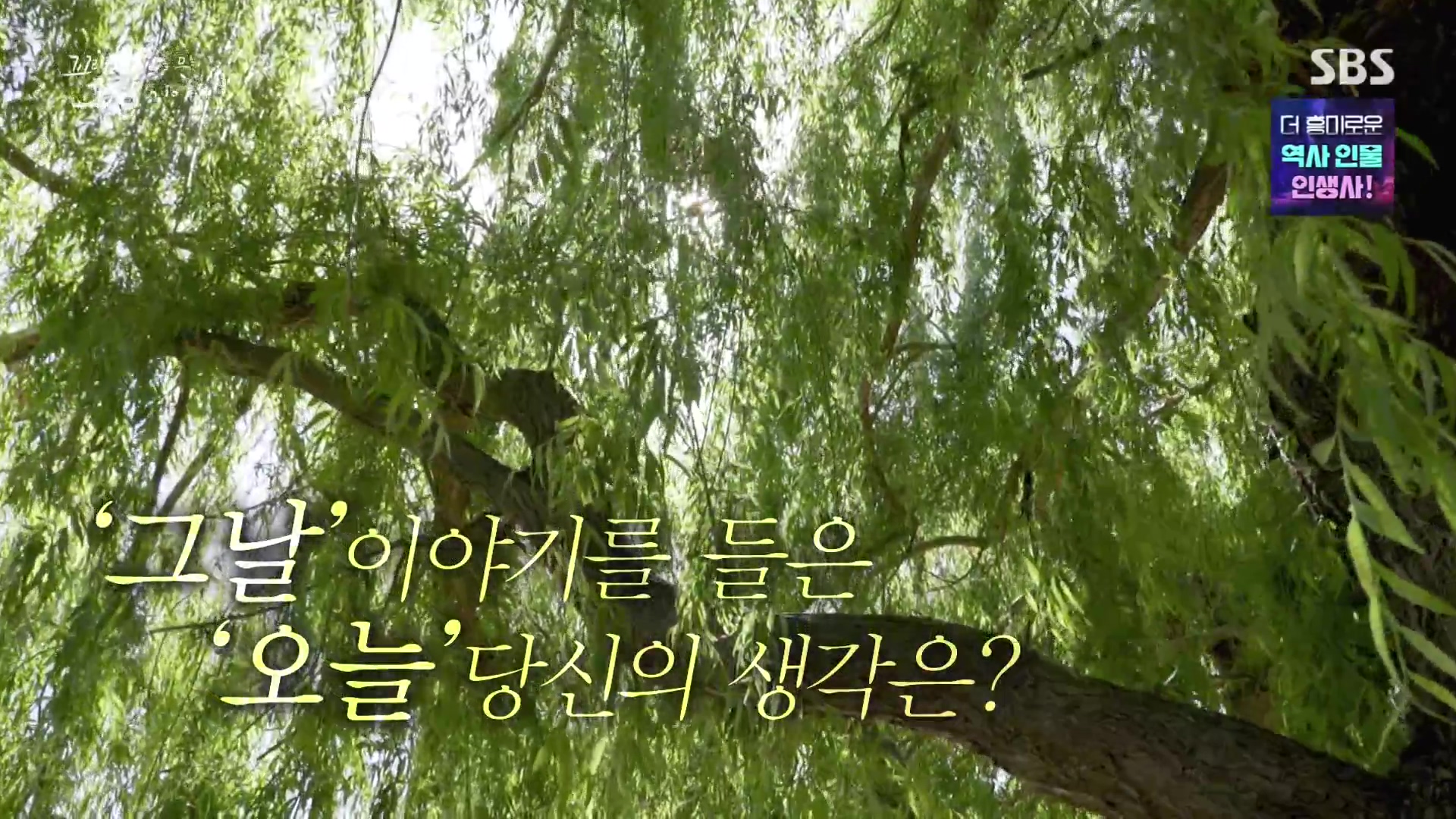 꼬리에 꼬리를 무는 그날 이야기.E107.231221p-NEXT.mp4_20231223_165847.271.jpg