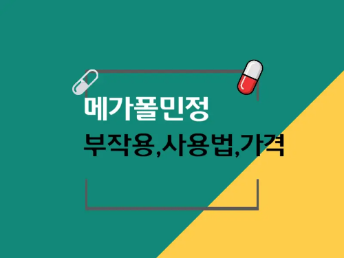 메가폴민정 안내 이미지