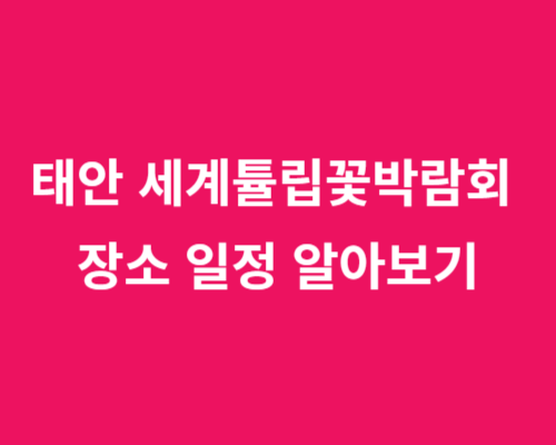 2024 충남 태안 세계튤립꽃박람회 장소 일정 알아보기