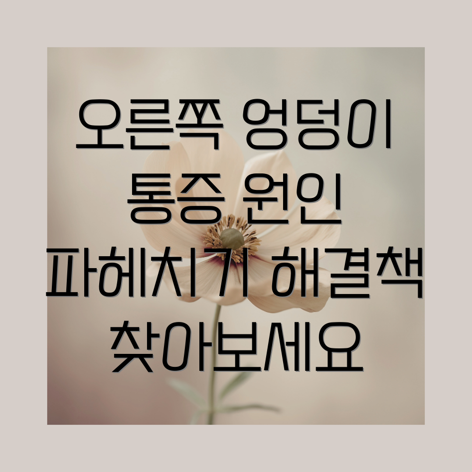 오른쪽 엉덩이 통증