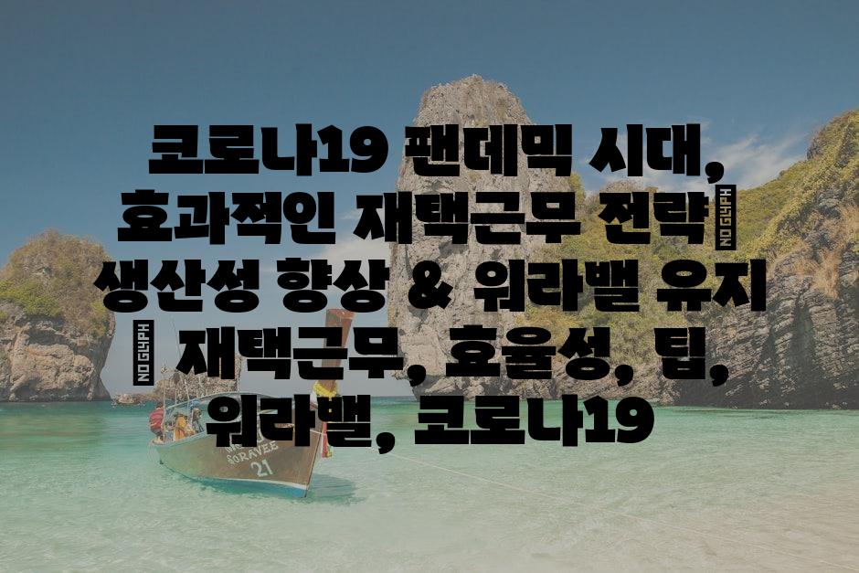 샘플 (80)