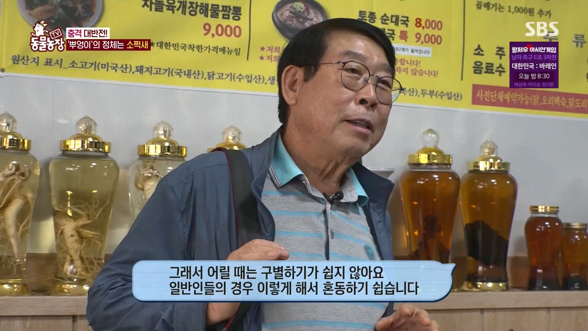 TV 동물농장.E1139.230924p.H264-F1RST.mp4_20230924_170625.222.jpg