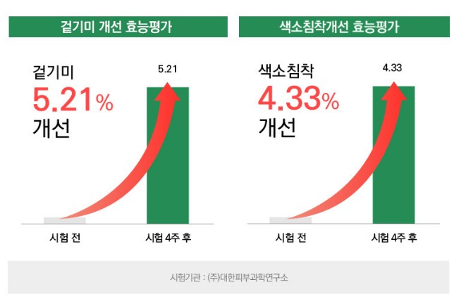 셀비엔 기미패치