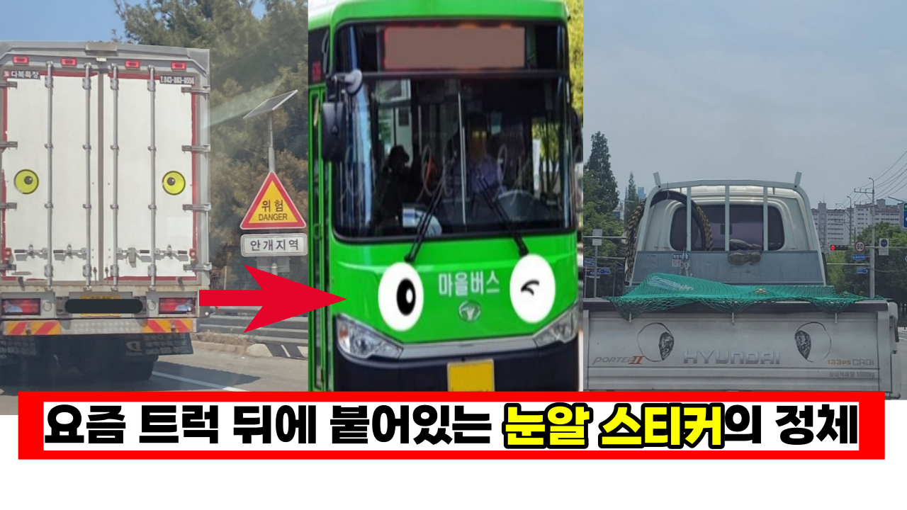  요즘 트럭 뒤에 붙어있는 눈알 스티커의 정체