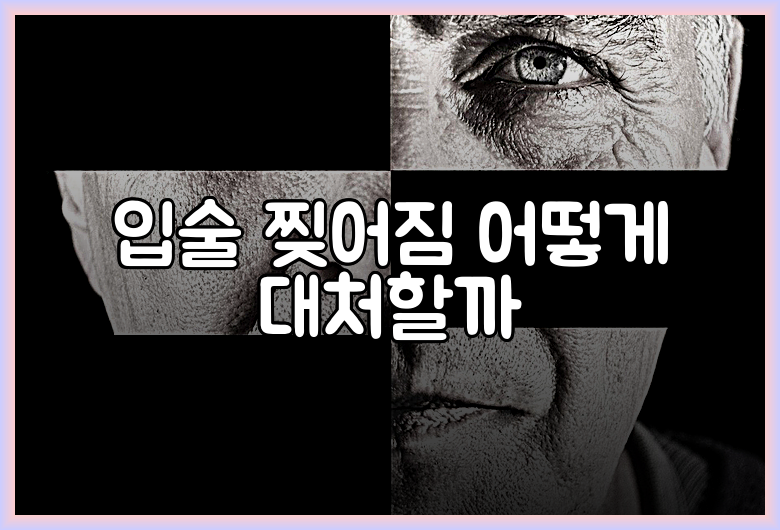 입술 찢어짐 어떻게 대처할까
