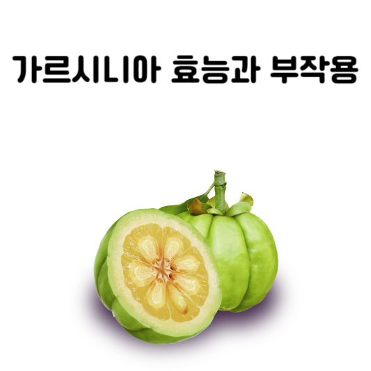 가르시니아 효능과 부작용