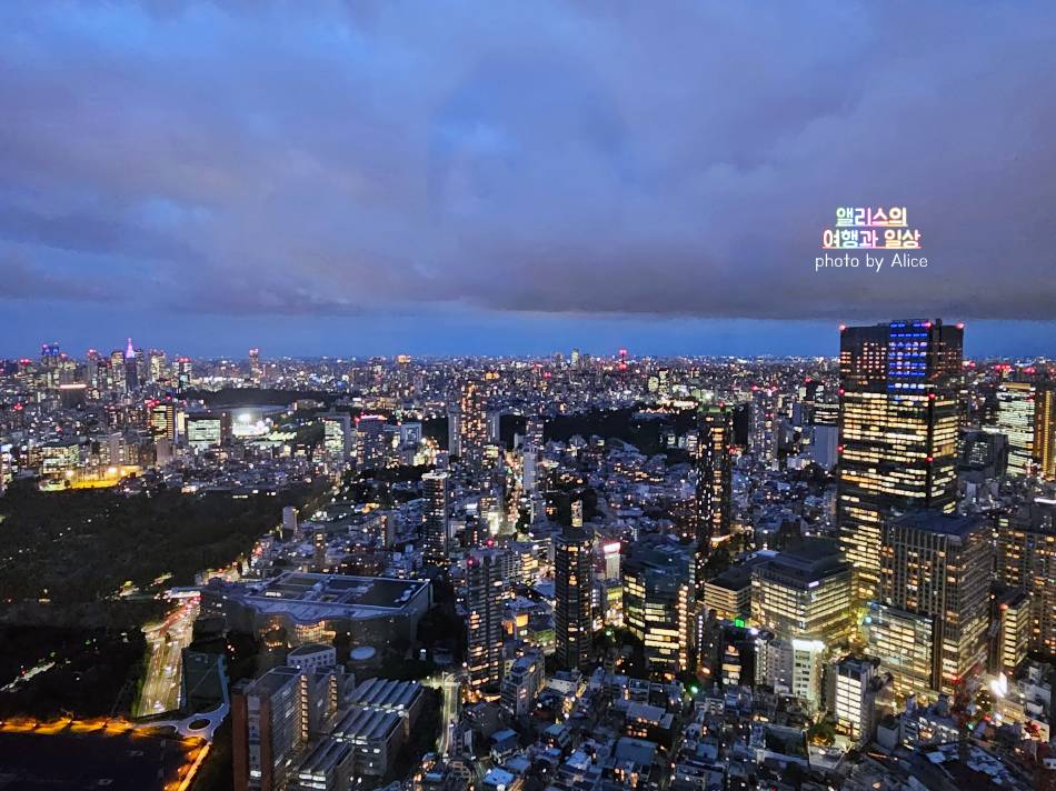 도쿄 타워가 보이는 롯폰기힐즈 전망대 도쿄 시티 뷰&#44; 도쿄 야경 추천