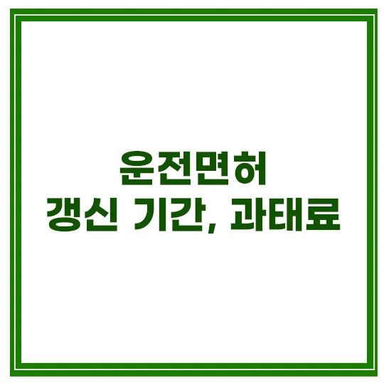 운전면허-갱신-과태료