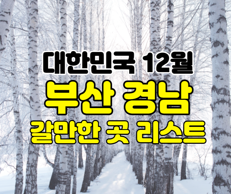 부산 경남 12월 축제&행사 여행지