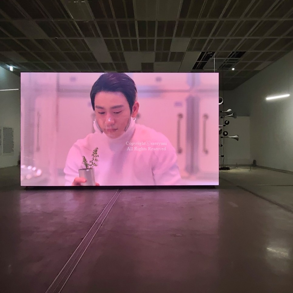 서울 10월 무료 전시회 국립현대미술관 10월 서울전시회 : MMCA 현대차 시리즈 2021 10