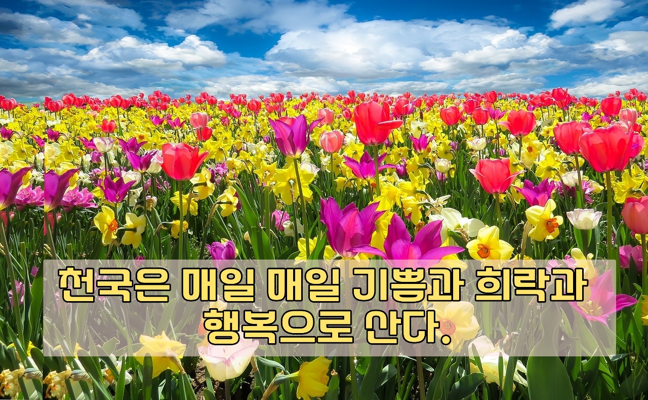 희락 이미지