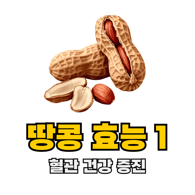 땅콩