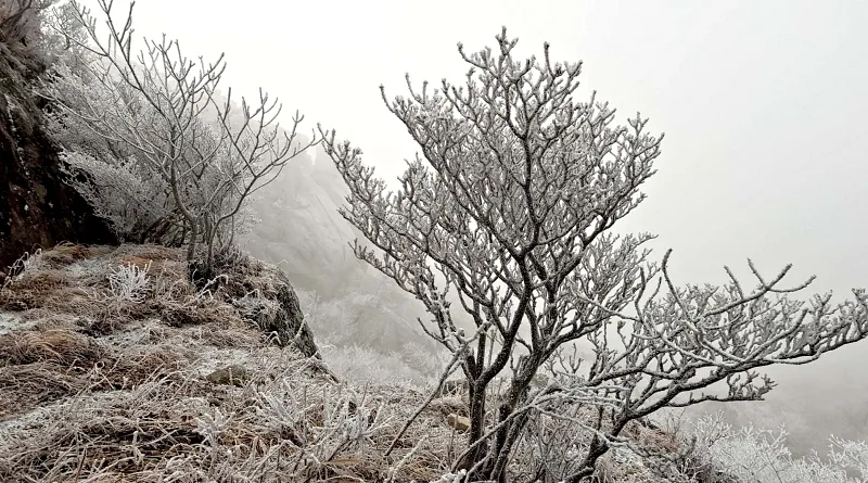 합천 가야산 설경
