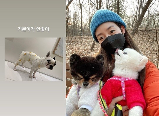  성유리 "엄마 이거 크롭티야?"...작은 옷 선물에 삐진 뿌잉이