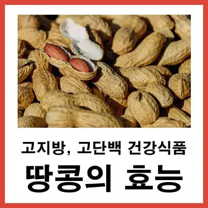 땅콩-효능