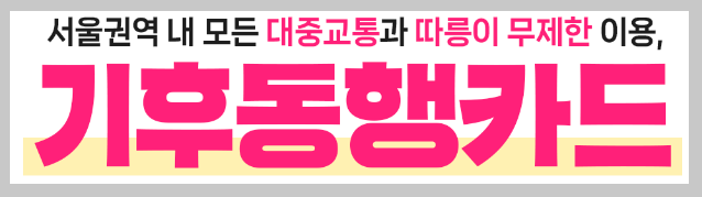 기후동행카드