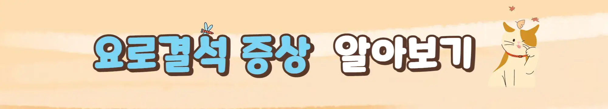 요로결석-증상-알아보는-이미지-사진